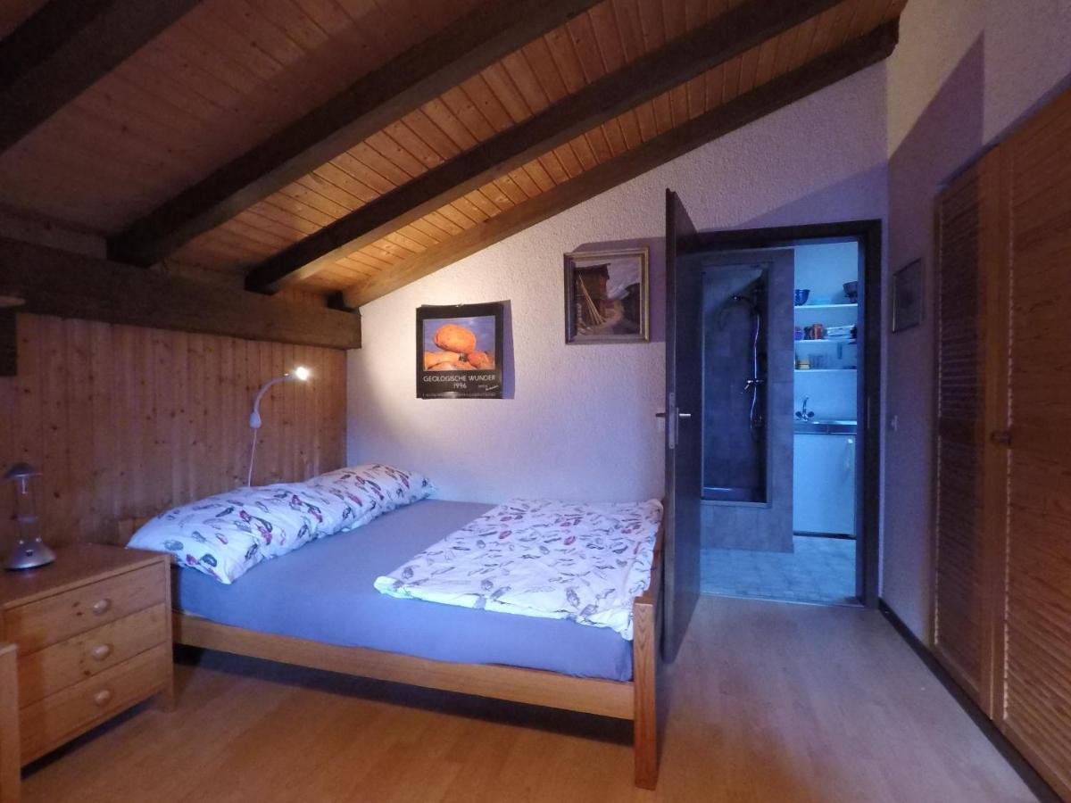 Ferienwohnung Interlaken/ヴィルダースヴィル エクステリア 写真