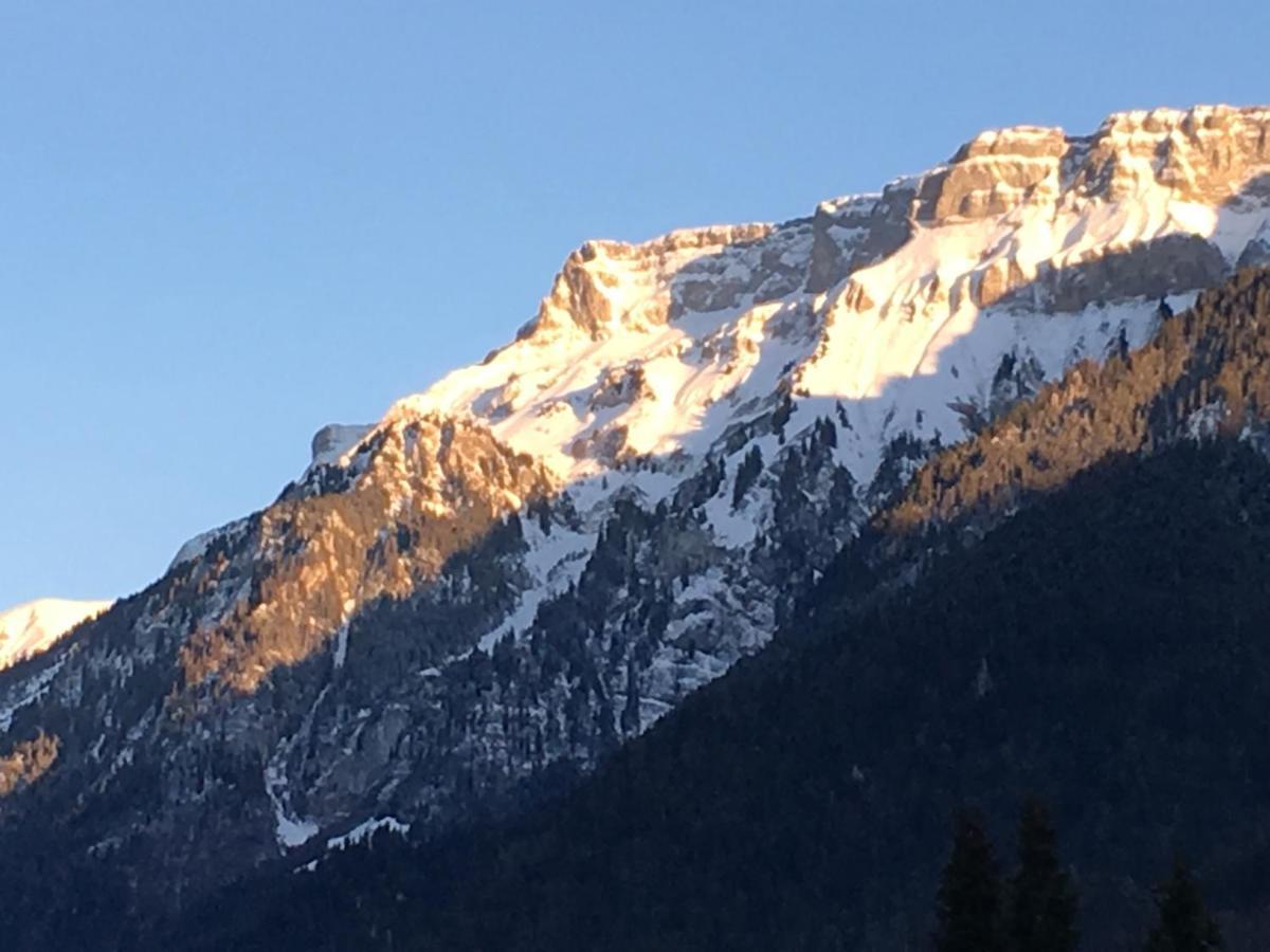 Ferienwohnung Interlaken/ヴィルダースヴィル エクステリア 写真