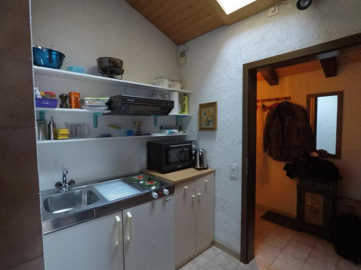 Ferienwohnung Interlaken/ヴィルダースヴィル エクステリア 写真